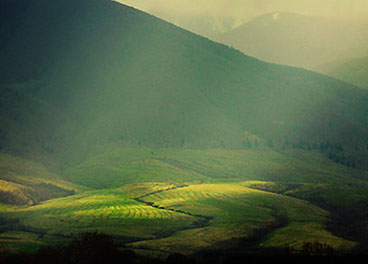 短信测试网站免费